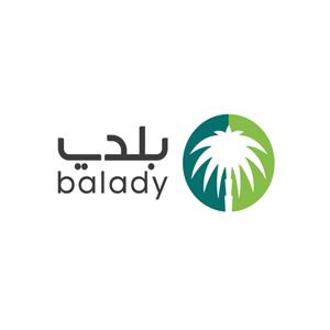 BALADY PLATFORM